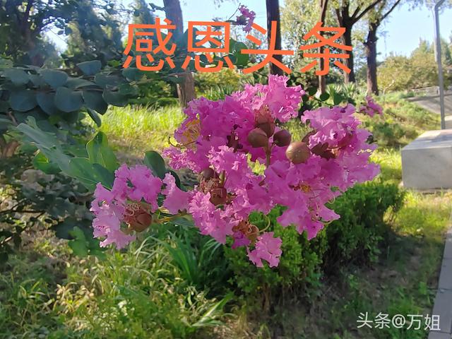 两性关系：女人说的“下次吧”！实际是这个意思	，男人切记要懂得