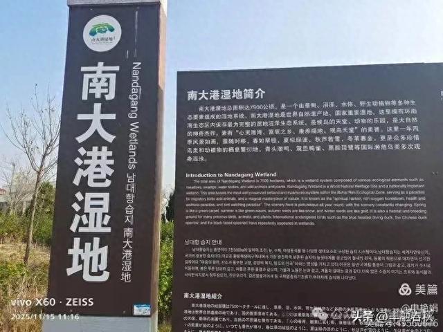 苇风载秋，鹤影映波——河北黄骅南大港湿地的初冬漫游｜ 申艳娟