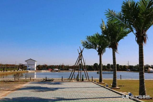 在庄行渔沥，抛一竿清风，钓满眼诗意