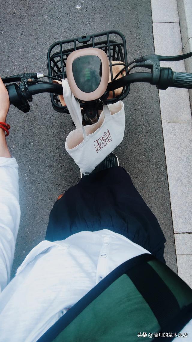 骑上我的小毛驴去遛弯