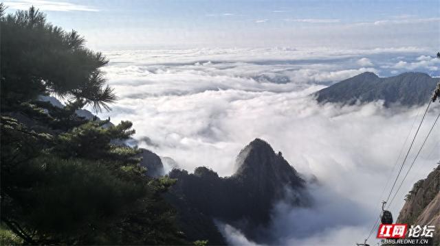 秋游时刻丨如果秋天有底色，那一定是黄山的样子吧？