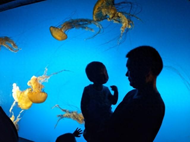 父亲从不夸我，但他的行动比所有甜言蜜语都更温暖