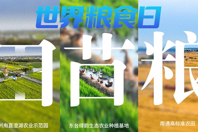 世界粮食日｜把“粮”辰美景装进文字里