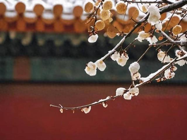 旅游专列实现从“看风景”到“品文化”的跃升