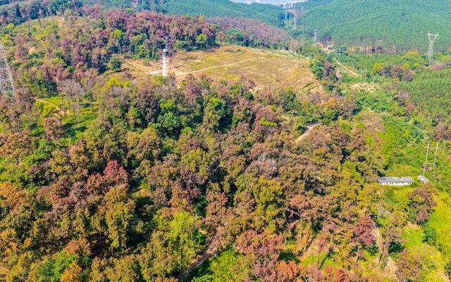 踏歌山水之间，不负秋日好时光。