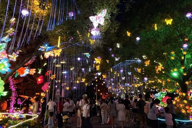 京城夏夜新顶流！蘑幻夜花园嗨翻啦
