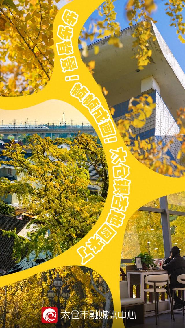 “美神”降临！太仓限定秋日美景，真的“杀”疯了！