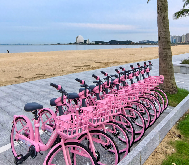 浪漫之城再添浪漫 1000辆粉色哈啰单车亮相珠海