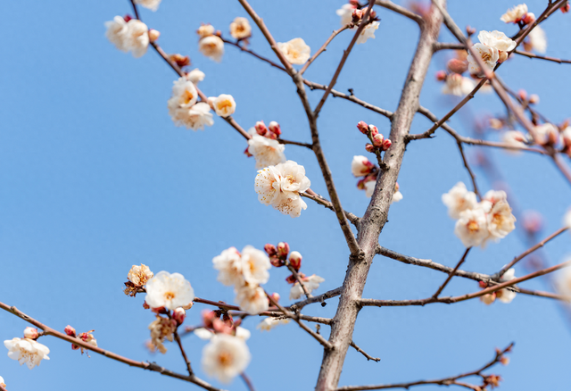 雨山区这个公园，美到窒息，速来打卡！