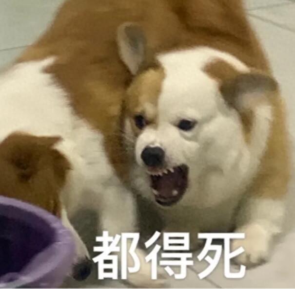 末日守望无限金币破解版（活了又死了网易和暴雪分手时候复活的游戏）