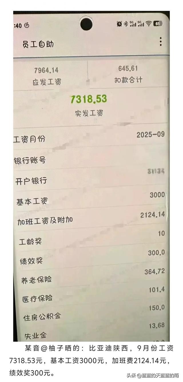 看了比亚迪陕西的工资条，我沉默了…