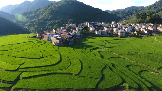 乡村美景