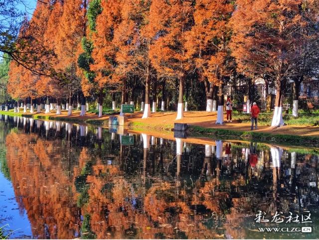 采莲河畔好风光