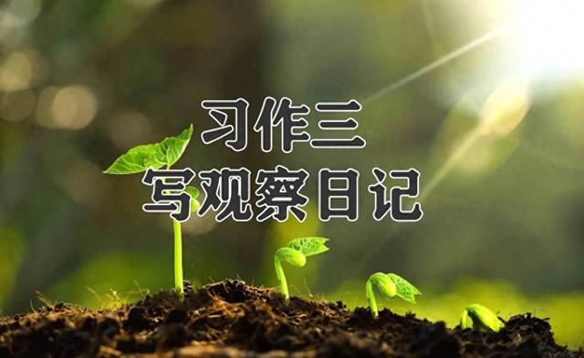 穰奇文