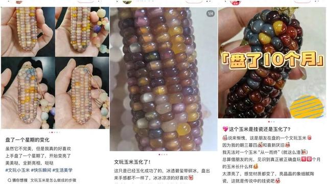 迷你世界打壳修改伤害（万物皆可盘）