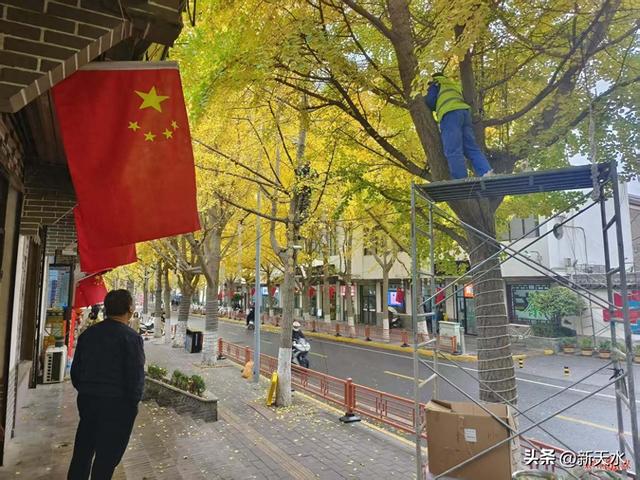 “银”客天下 “杏”福秦州 秦州区：“黄金大道”即将开启 诚邀共赴“浪漫之约”