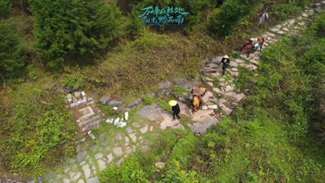 路与人｜茶马古道看履道坦坦