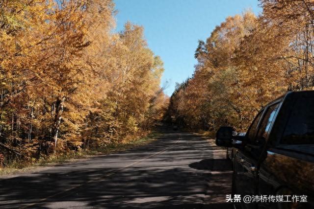 华东银杏第一村：指南村的千年秋日传奇