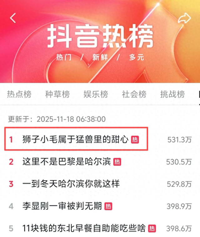 新晋顶流“哈尔滨极地公园狮子小毛”文旅IP免费开放全球授权！