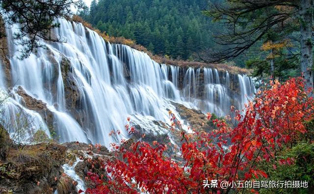九寨沟秋季赏枫！10 月下旬高光期必看，新徒步线 + 隐藏机位全解锁