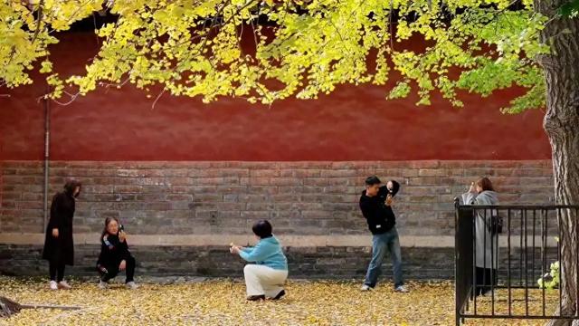 【冬日奇遇：中国经济的新篇章】