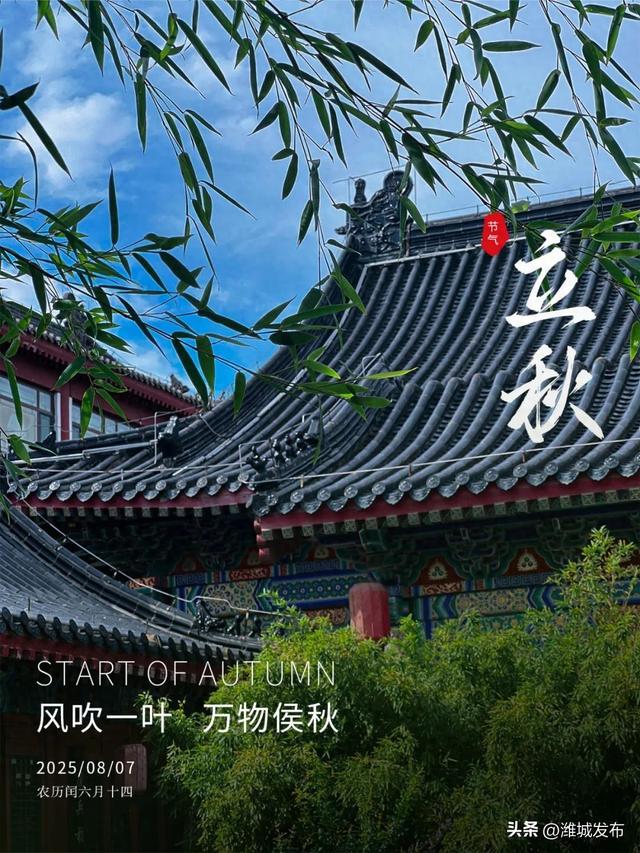 立秋 | 暑假余额不足，来十笏园文化街区把清爽与快乐续到满格