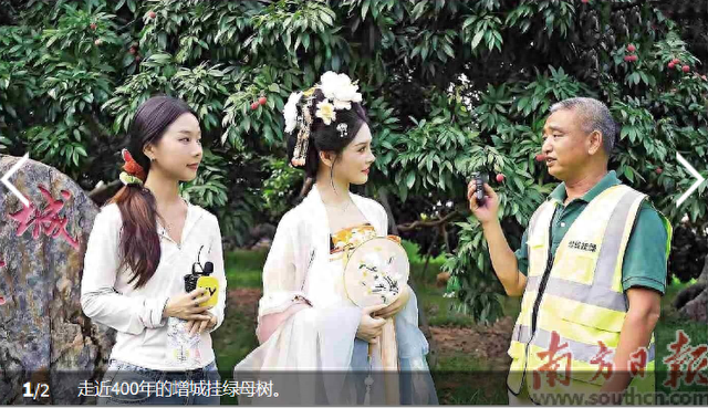 直播赋能，YY 直播“宝地奇旅” 带观众云游增城，品味岭南风情