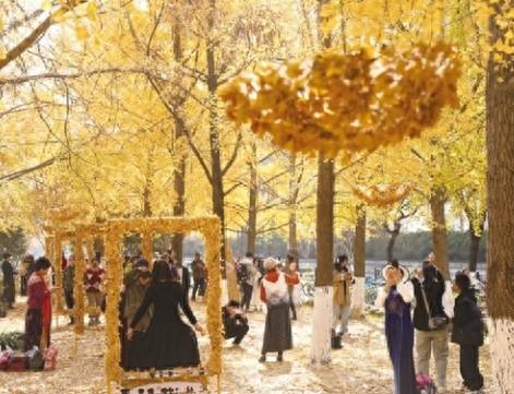 杭州“落叶不扫”推出8年 特色景观越来越多