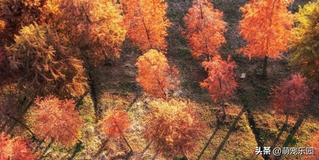 晨光轻抚江面，武汉苏醒时，我被这暖冬诗意震撼了