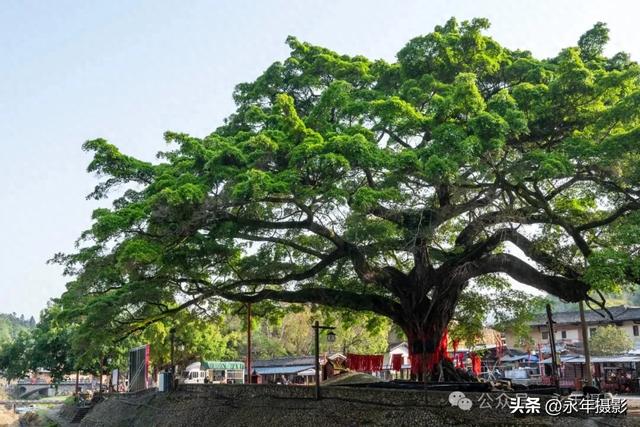 自驾环游中国行（二十一）福建永定土楼