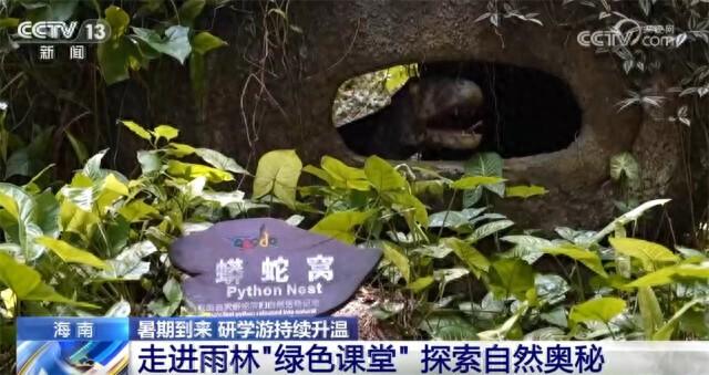 探秘雨林、寻踪国宝、见证奇迹……研学游持续升温点亮“暑期经济”