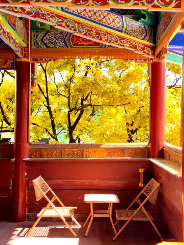 状元楼的秋信，是闹市里一场安静的灿烂