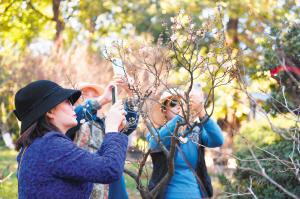 元旦来昆明花式跨年