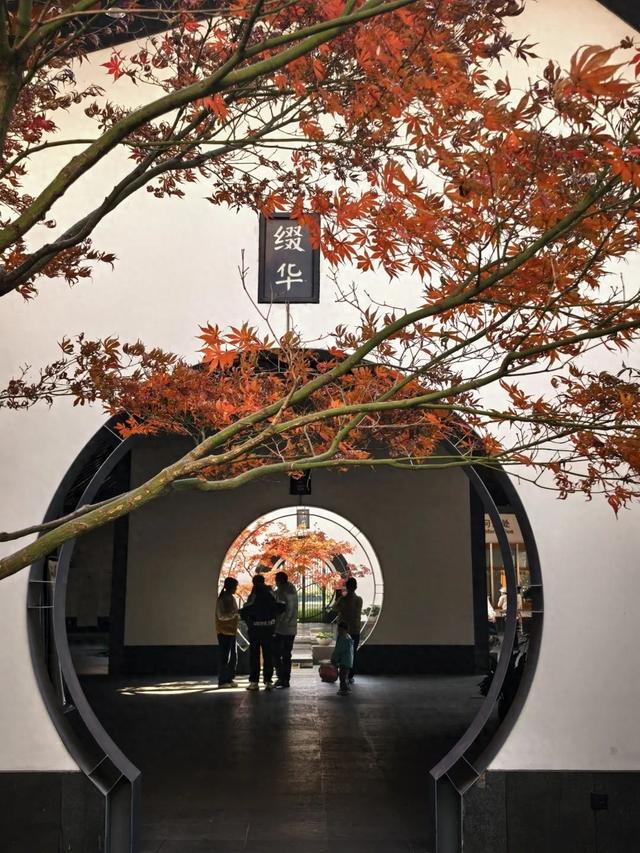 深秋彩叶已上线，打卡超出片