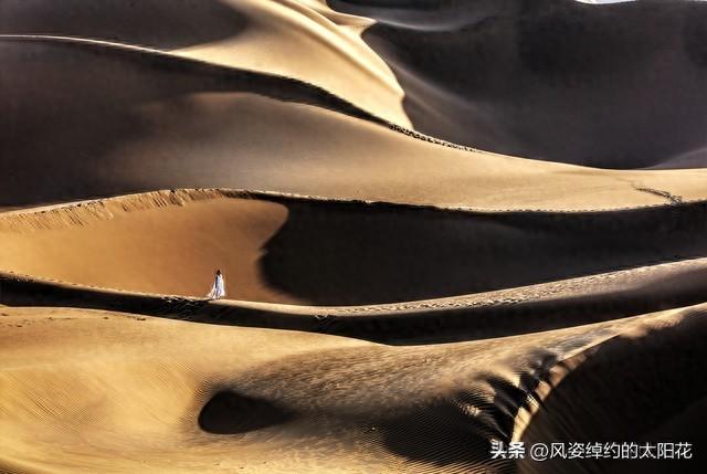 茶余饭后漫时光——（37）李婶儿这回享福了（1）分裂漫游