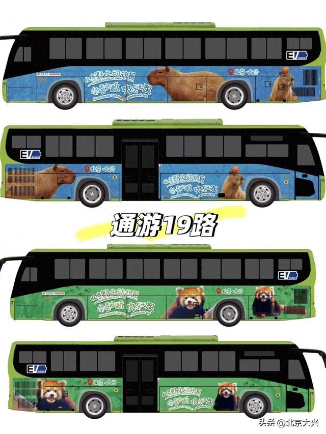 北京的“疯狂动物城”！一站直达→
