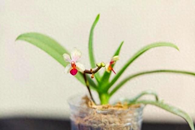 和女人断联后，多半是以下几种情况，很准！