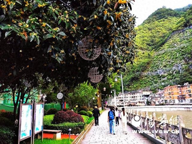 安康宁陕：满城桂花香 秋意正浓时