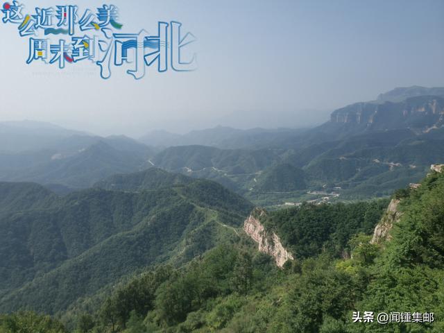 大连的“水仙”