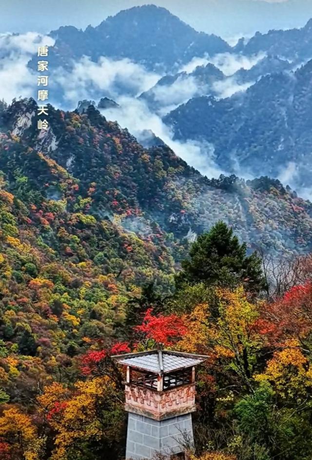 唐家河的秋：把山河晕成了打翻的颜料盘