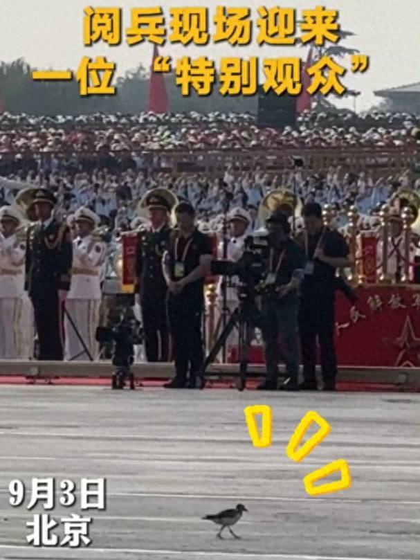九三阅兵现场，出现一位“特别观众”？