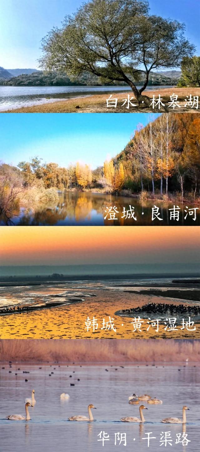 很多人没去过！渭南氛围感拉满的4个秘境