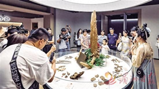 仙游沉香博物馆：传承悠久厚重的香文化 解锁文旅新体验
