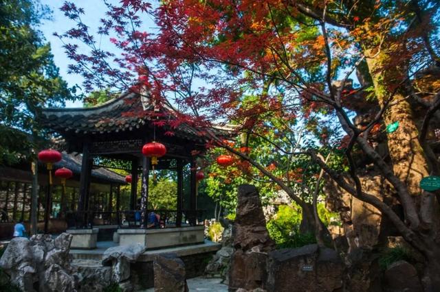 研学“趣”扬州｜ 秋游招募！千年微光指引，从天宁寺到唐槐的文化漫步