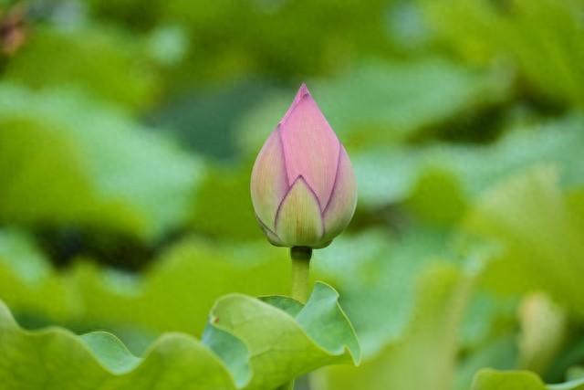 突然发现，凡是不靠吃药走出抑郁、焦虑的人，都有一个共性