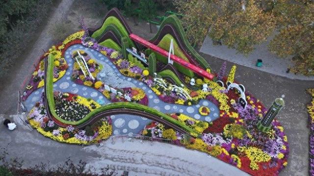 收获满满！重庆在第十五届中国菊花展览会上喜提最高奖