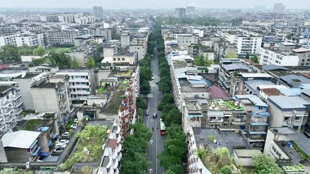 你好！东坡 | 府街：从生命起点到千年文脉的温暖传承