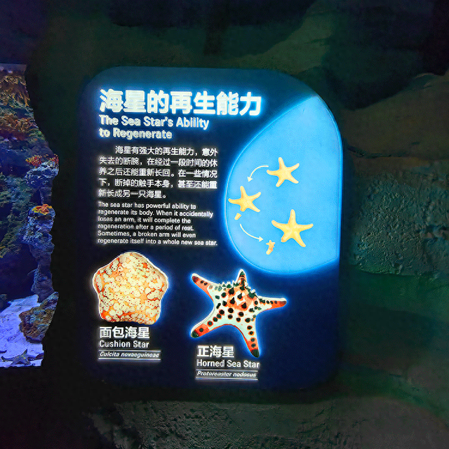 龙岗重点文化企业柯赛标识分享：主题公园导视标识牌系统制作特征