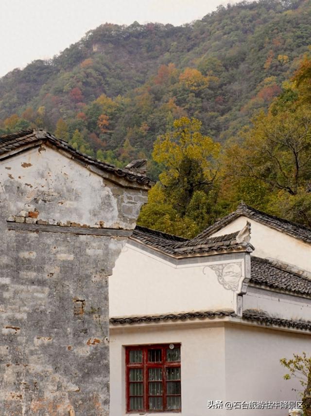 牯牛降闭园创5A，毗邻白石岭正当时