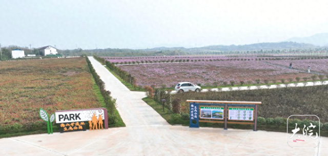 池州东至：废弃矿山变身休闲乐园